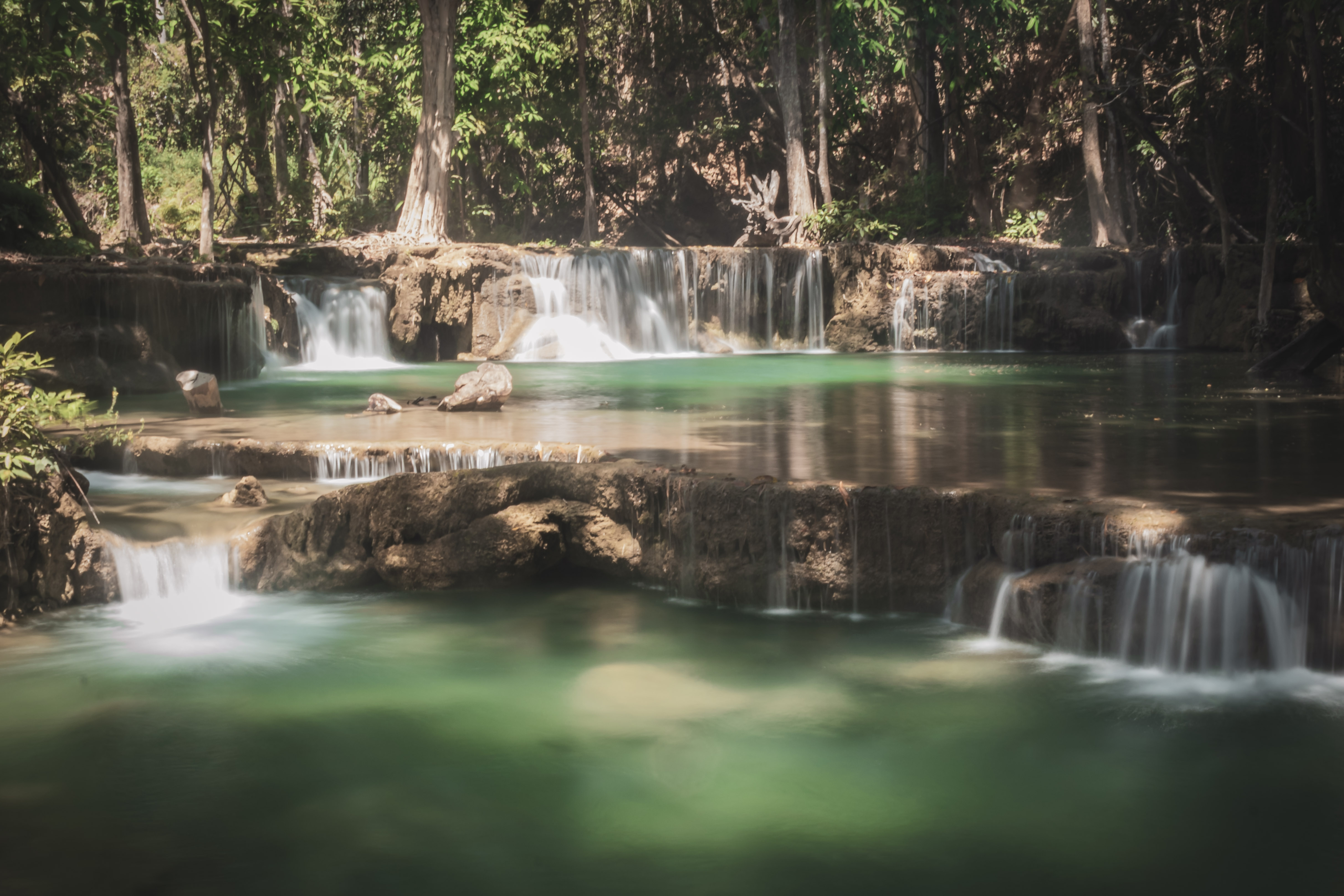 Professional Excellence